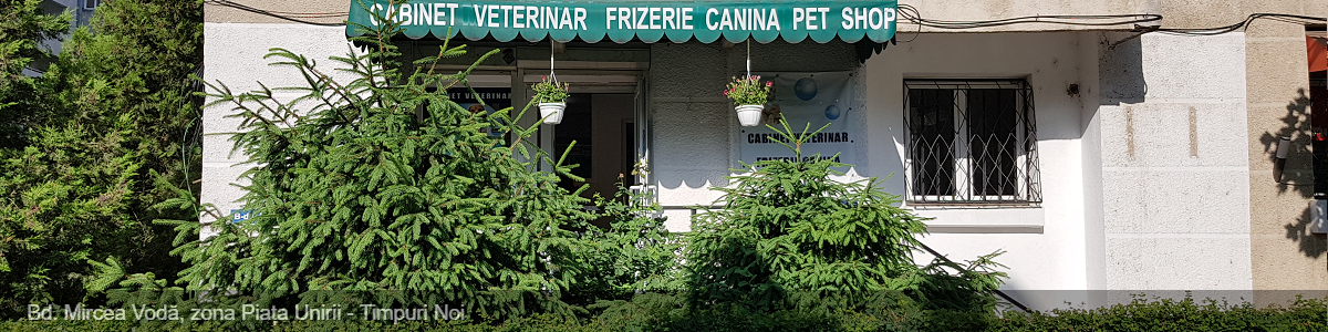 Bd. Mircea Vodă, zona Piața Unirii - Timpuri Noi